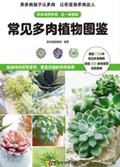 2021年第16期-常见多肉植物图鉴