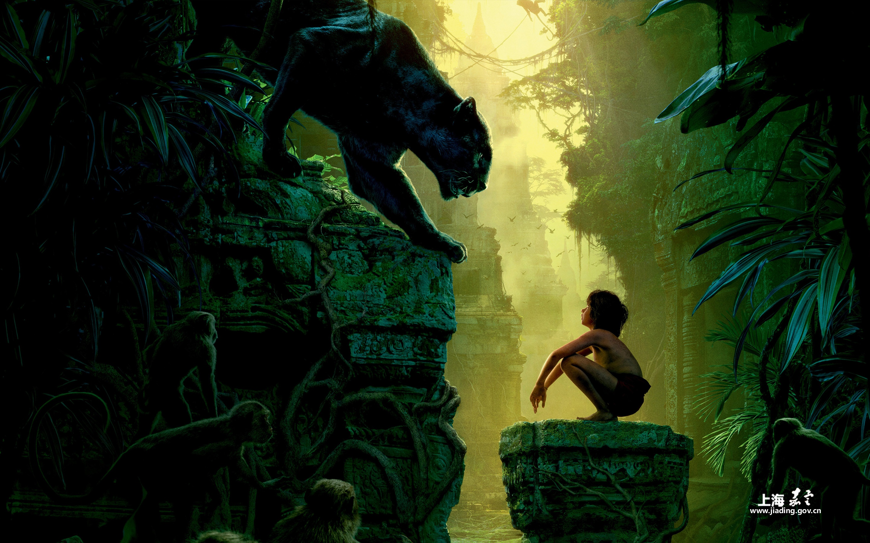 878a13fb868b44d884a65517a5efb22b.png 878a13fb868b44d884a65517a5efb22b.png